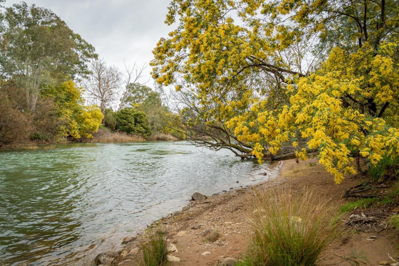 Big4 Breeze Holiday Parks - Eildon Luaran gambar